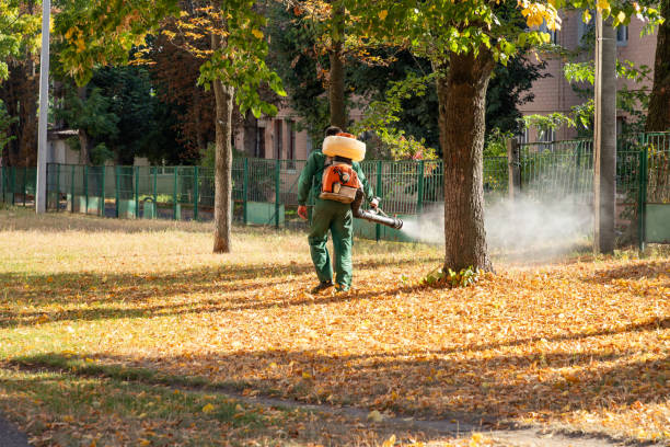 Best Insect Control  in Spokane, WA