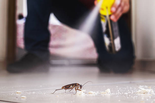 Best Pest Removal Services  in Spokane, WA